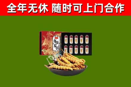 大通区回收冬虫夏草价格