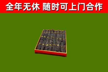 大通区回收海参